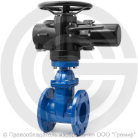 Задвижка чугунная фланцевая Ду-200 Ру-16 (Т<150°С) 30ч939р Китай с электроприводом Benarmo-Б.200/24 (380 В) Задвижка чугунная фланцевая Ду-200 Ру-16 (Т<150°С) 30ч939р Китай с электроприводом Benarmo-Б.200/24 (380 В)