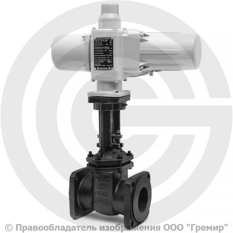 Задвижка с электроприводом 30ч906бр Ду 80 чугунная фланцевая купить в ...