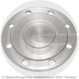 Заглушка фланцевая 1-125-10-09Г2С ГОСТ 34785-21