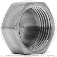 Заглушка латунная ВР (ВН") Ду-20 (3/4") никель LD Заглушка латунная ВР (ВН") Ду-20 (3/4") никель LD