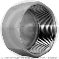 Заглушка нержавеющая AISI 304 6-ти гранная ВР (ВН) Ду-8 (1/4") Заглушка нержавеющая AISI 304 6-ти гранная ВР (ВН) Ду-8 (1/4")