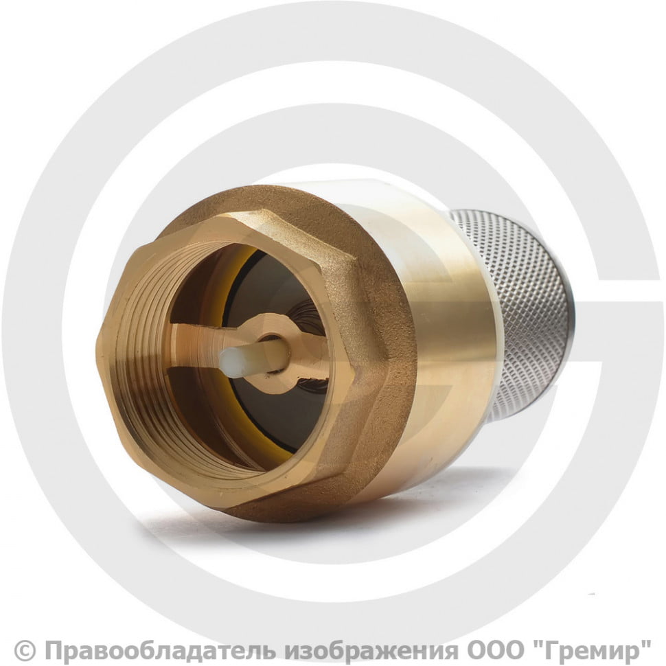 Обратный клапан латунный шток. Клапан обратный осевой. Обратный клапан Ду 32. Клапан обратный с фильтром латунный муфтовый Ду 40. Обратный клапан с латунным штоком.