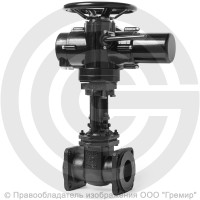 Задвижка чугунная фланцевая Ду-50 Ру-10/16 (Т<225°С) 30ч906бр ЛМЗ с электроприводом Benarmo-А.70/24 (380 В) Задвижка чугунная фланцевая Ду-50 Ру-10/16 (Т<225°С) 30ч906бр ЛМЗ с электроприводом Benarmo-А.70/24 (380 В)